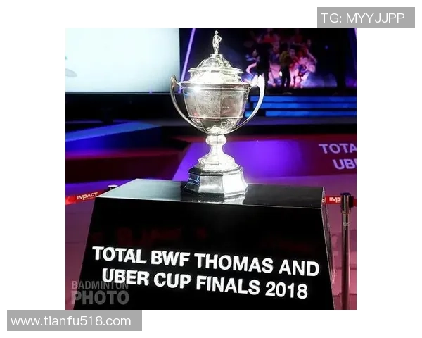 北京羽毛球队在城市联赛中的状态分析与表现评估