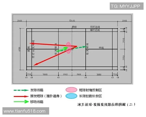 广州羽毛球队与武汉羽毛球队赛后战术分析与总结探讨
