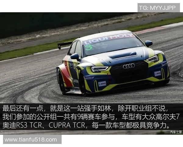 上海篮球队在联合会杯中的耐力表现分析与总结