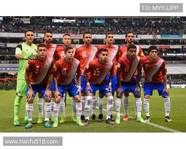 南京排球队个人能力深度对比与战术影响分析