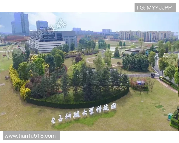 张伟的排球之路：从青涩少年到国家队明星的成长故事