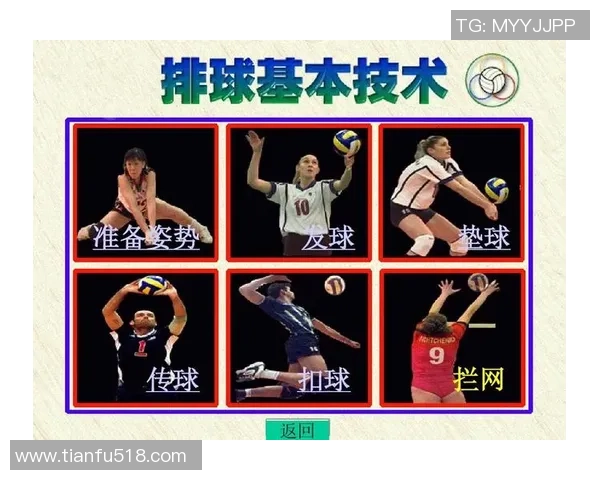 西安排球队整体压制体系的排球战术解析与应用探讨