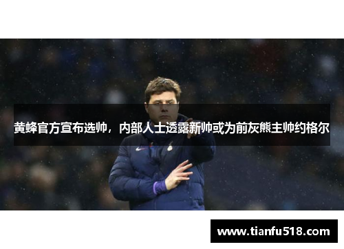 黄蜂官方宣布选帅，内部人士透露新帅或为前灰熊主帅约格尔